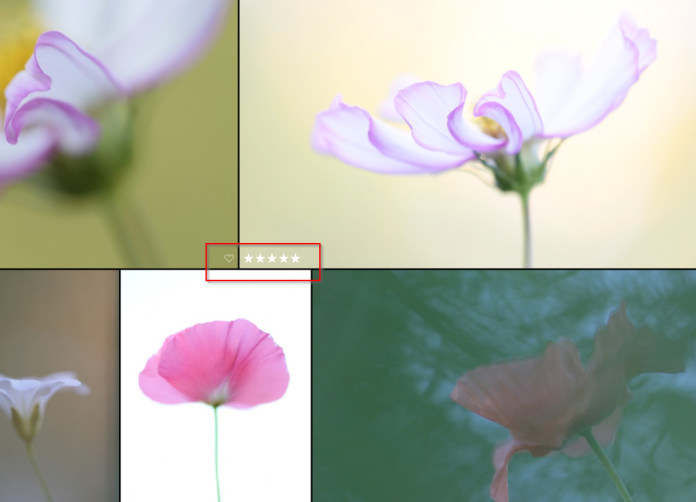 star rankings in luminar 4 review