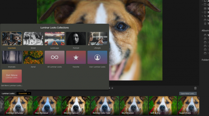 luminar 4 review looks