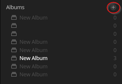 adding an album luminar organize