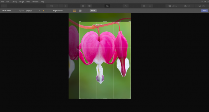 cropping luminar shortcut
