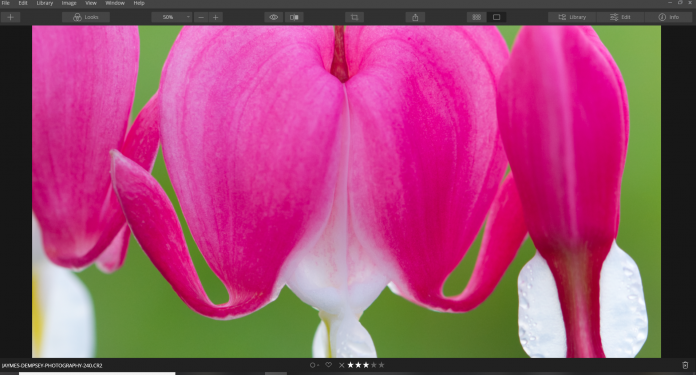 zooming in and out luminar shortcut