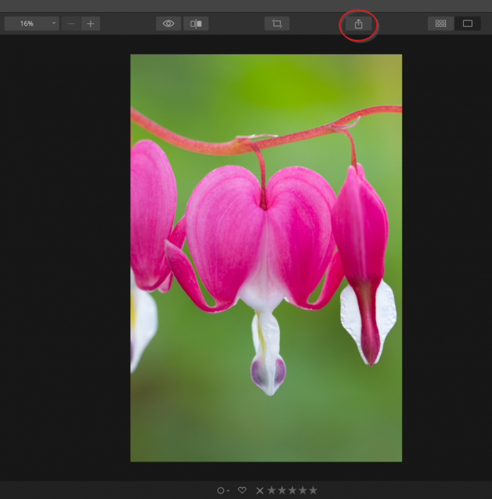 export images luminar shortcut