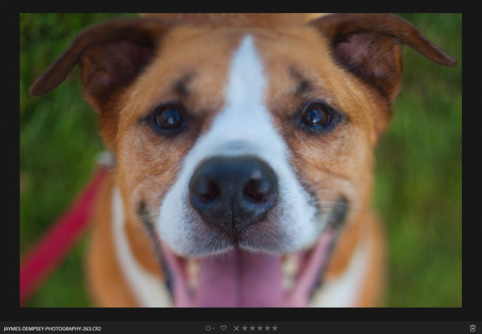 adjusting saturation luminar effects