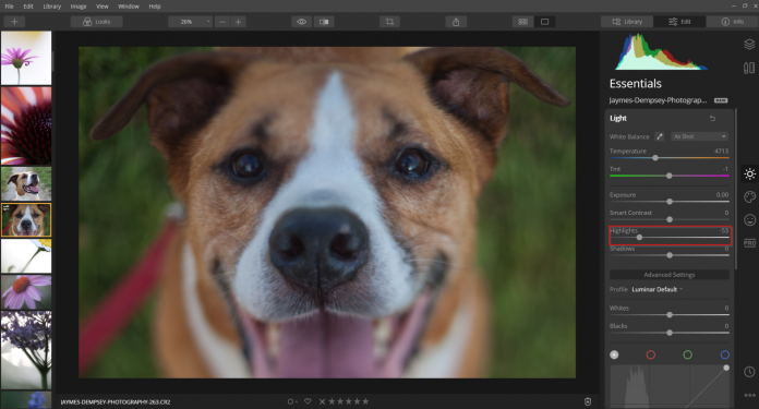 using the highlights slider