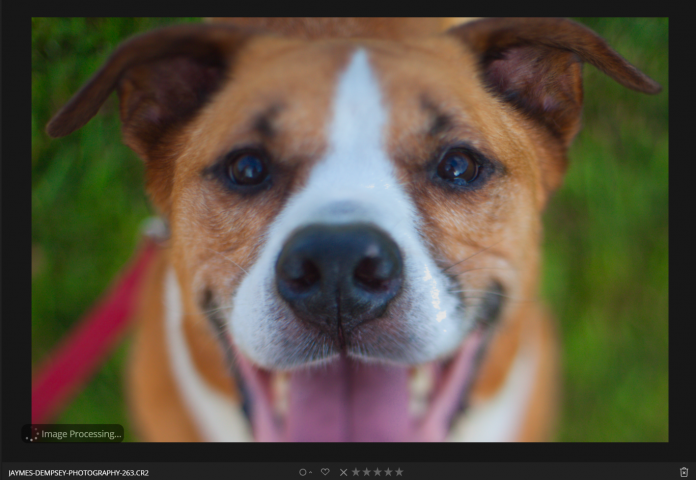 split toning example luminar effects