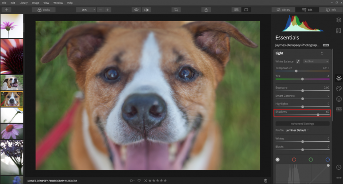 using the shadows slider