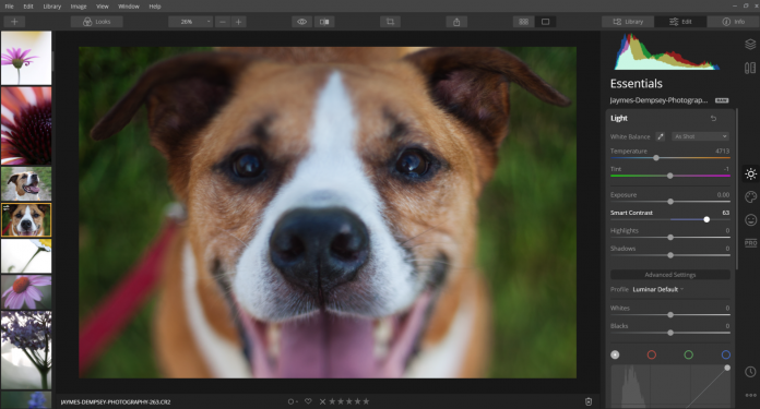 luminar effects