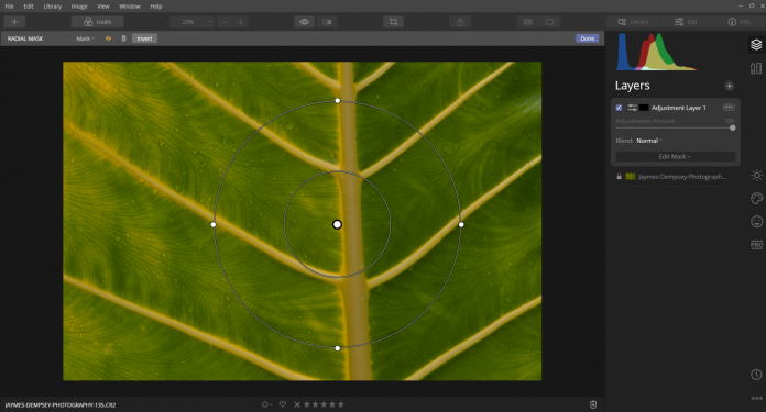 luminar masking tool