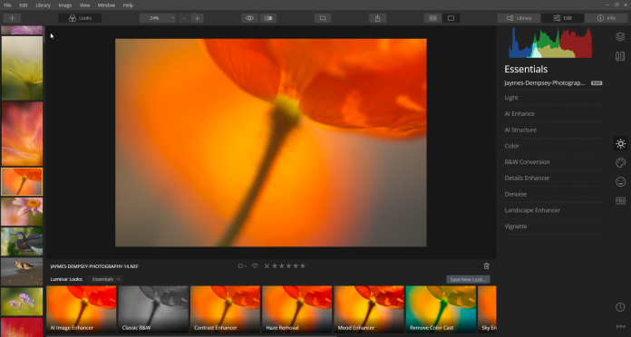 luminar essentials