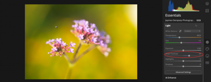 Using smart contrast slider luminar essentials
