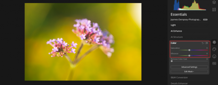 Saturation and vibrance