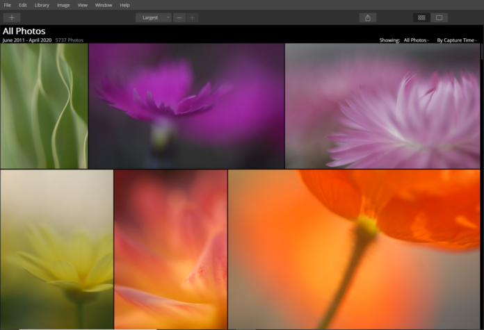 Luminar essentials panel