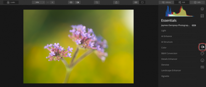 essentials tab in luminar