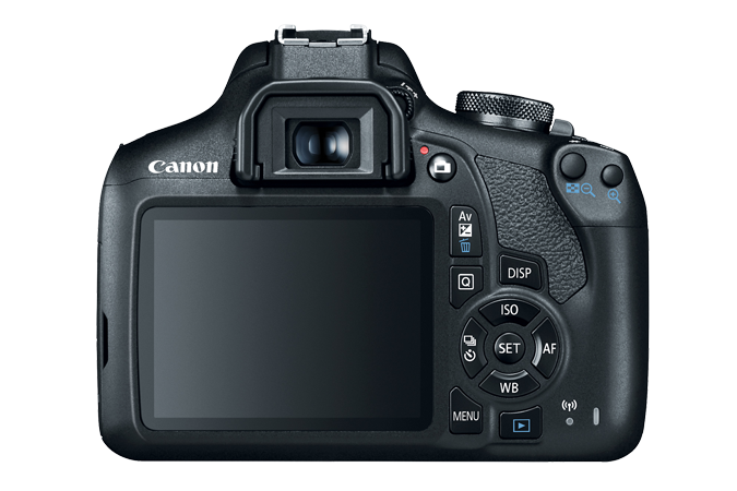 nikon d3500 vs canon t7 - Canon EOS T7 rear LCD screen