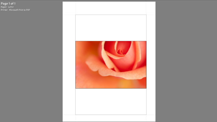 Printing in lightroom 100
