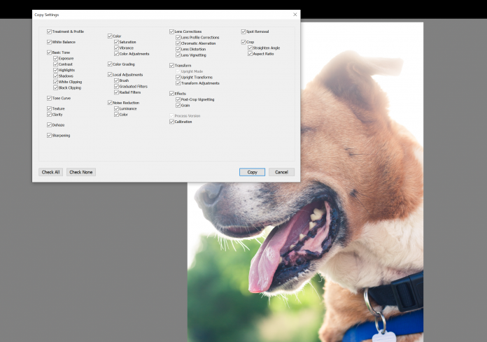 how to batch edit in Lightroom 000397