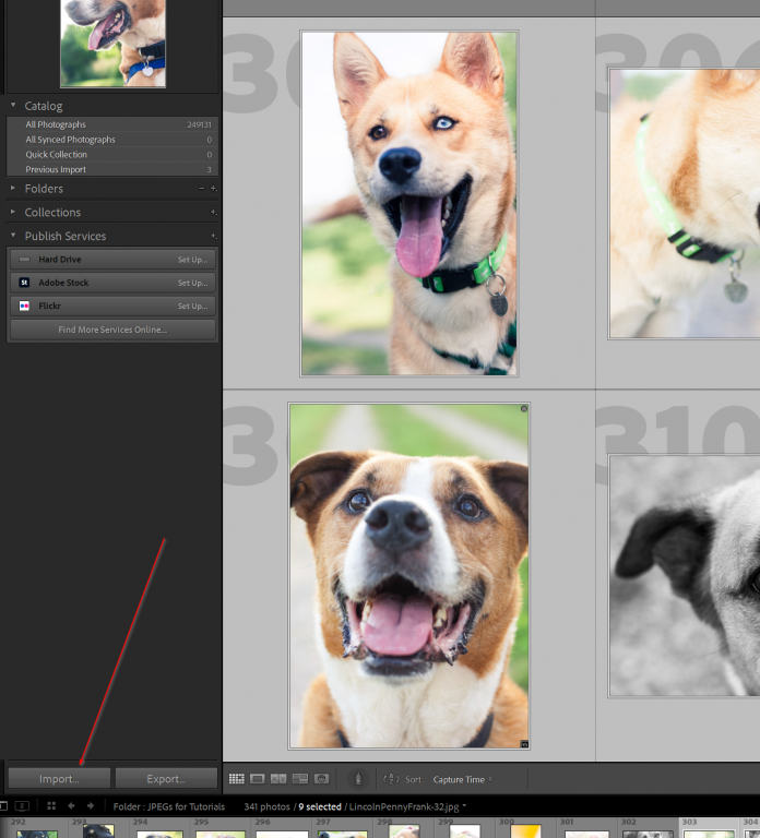 how to batch edit in Lightroom 000401