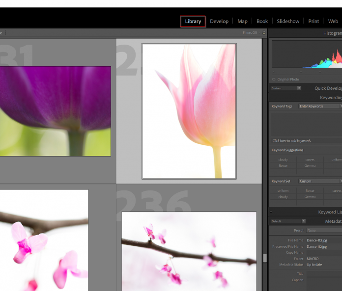 how to edit photos in Lightroom 000405