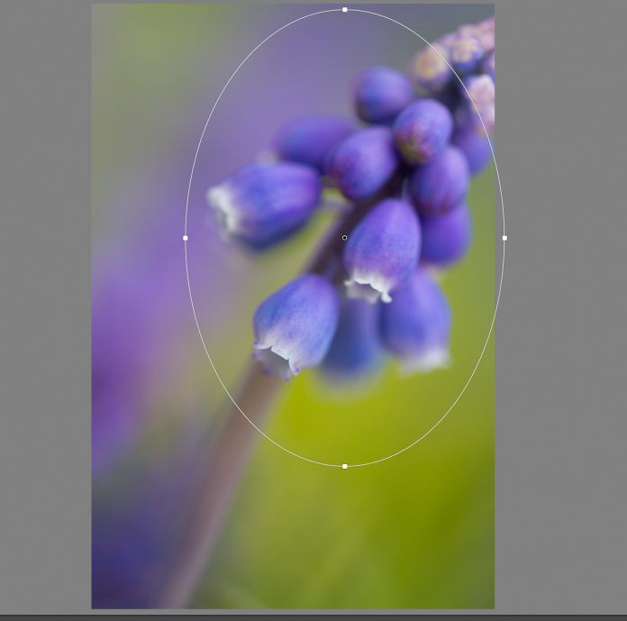 how to edit photos in Lightroom 000433