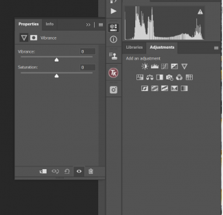 Adjustments in Photoshop