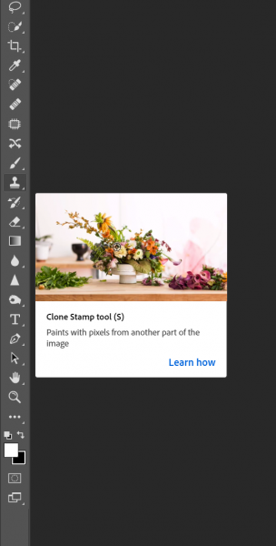 Photoshop Clone Stamp Tool