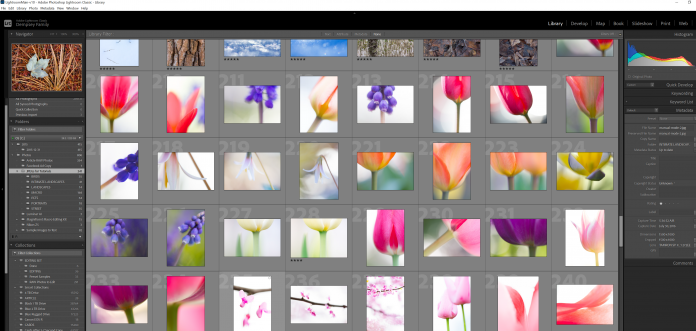 how to install adobe lightroom 000357