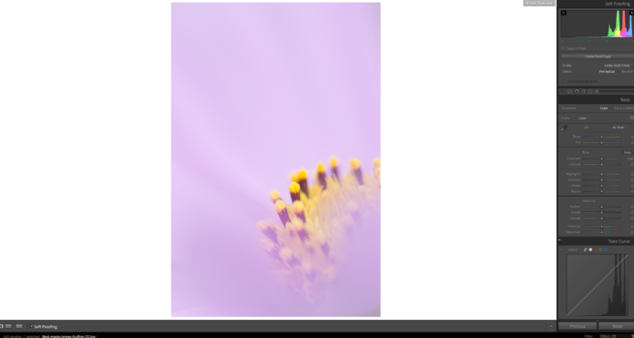 soft proofing software