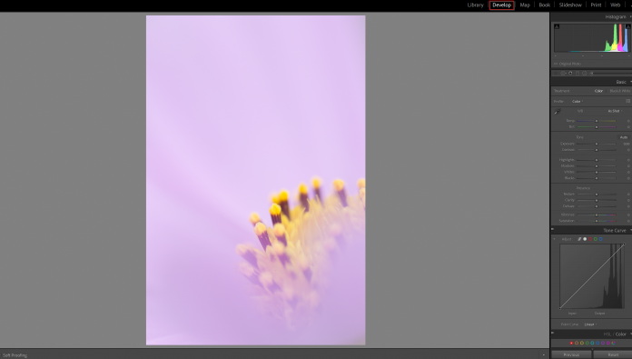 soft proofing in lightroom and photoshop 000314