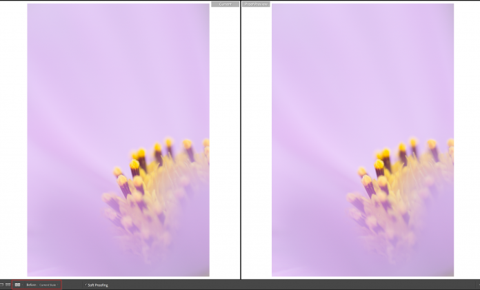 soft proofing in lightroom and photoshop 000319