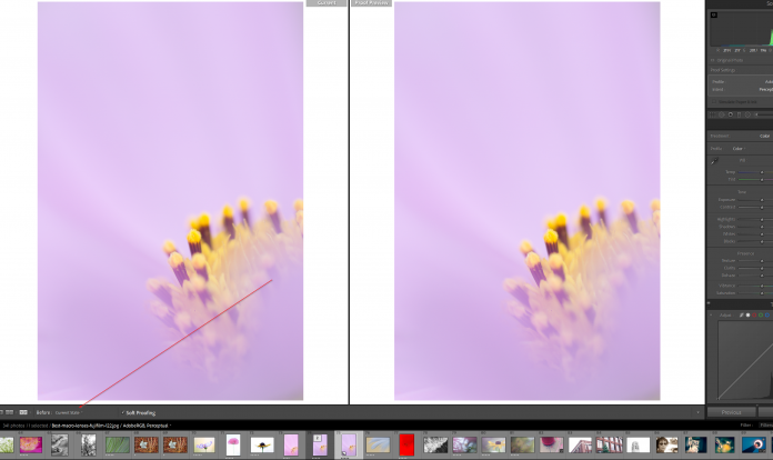 soft proofing in lightroom and photoshop 000320