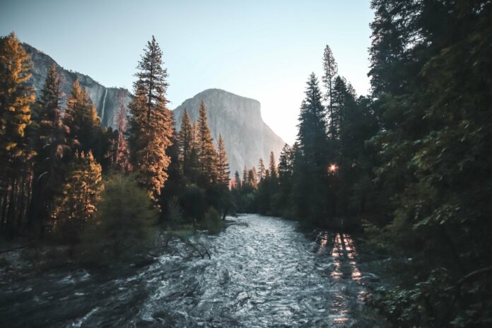 river, forest, and mountain landscape with a deep depth of field