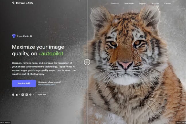 Topaz Photo AI website showing the current pricing and a shaking tiger