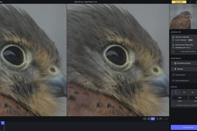 Topaz Photo AI with a before-and-after image of a sharpened bird of prey