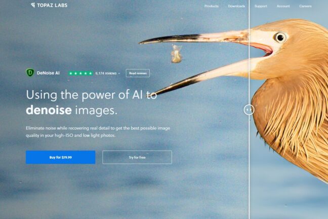 Topaz DeNoise AI current pricing webpage with a reddish egret catching prey