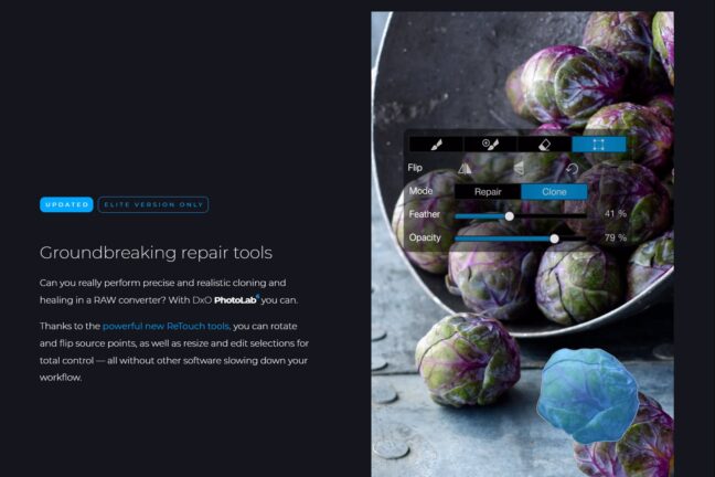 DxO PhotoLab 6 information page demonstrating cloning on a food photo.