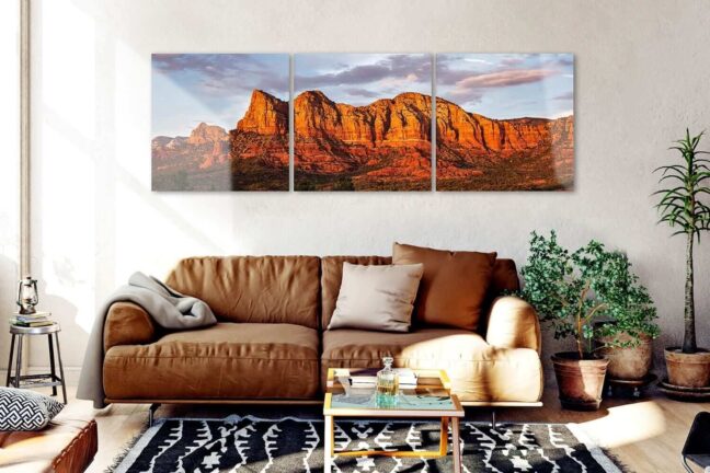 A living room with a couch and several plants with a metal print triptych of a mountain at sunset displayed on the wall.