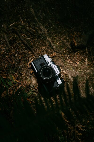 A black and silver Olympus camera lying on the dark forest floor with the outline of a fern in the foreground.