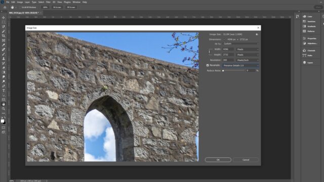 The Image Size tool in Photoshop showing a section of an enlarged image.