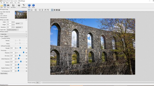 Using a default enlarging preset in the PhotoZoom Pro 8 program.