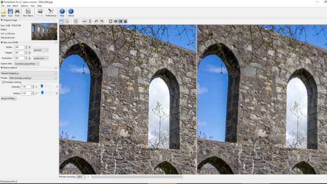 Comparison of two enlarging processes in the PhotoZoom Pro 8 program.