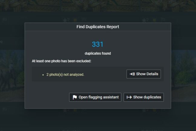 Excire Foto's Find Duplicates report indicating that 331 duplicates were found.