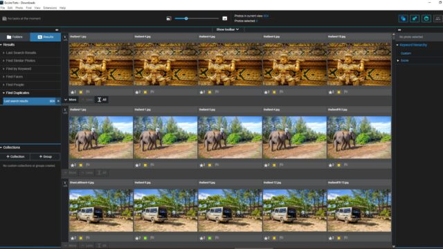 Duplicate images shown in the preview mode of Excire Foto.