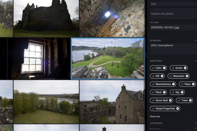 A grid of images in Mylio Photos with keywords on the right-hand side.