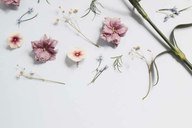 flower flat lay