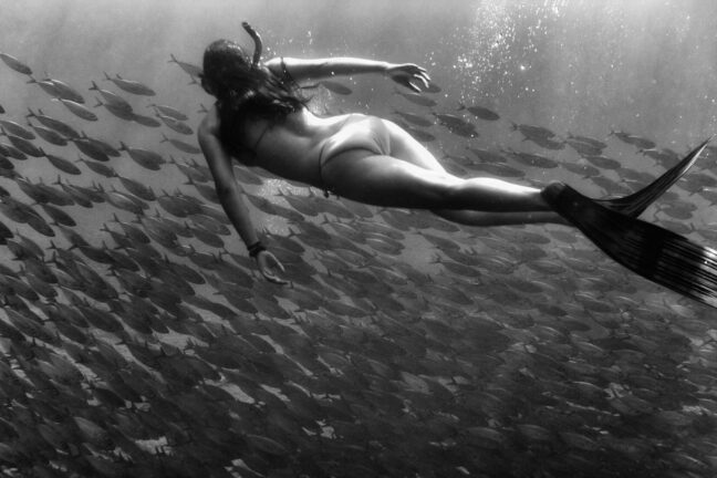 underwater photography in hawaii