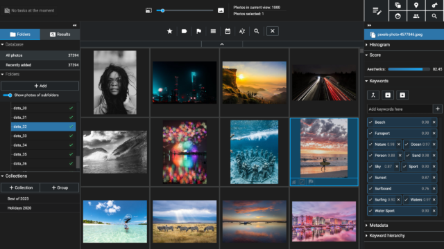 Excire Foto 2024 grid view with a single image selected and automated keywords displaying.