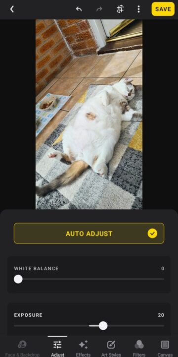 The Lensa Auto Adjust tool being used to edit an image of a cat on a rug.