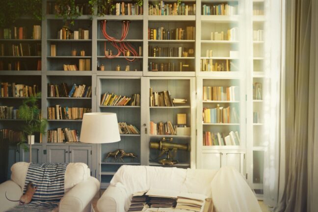 A living room with a couch, a chair, many books, and light streaming in.