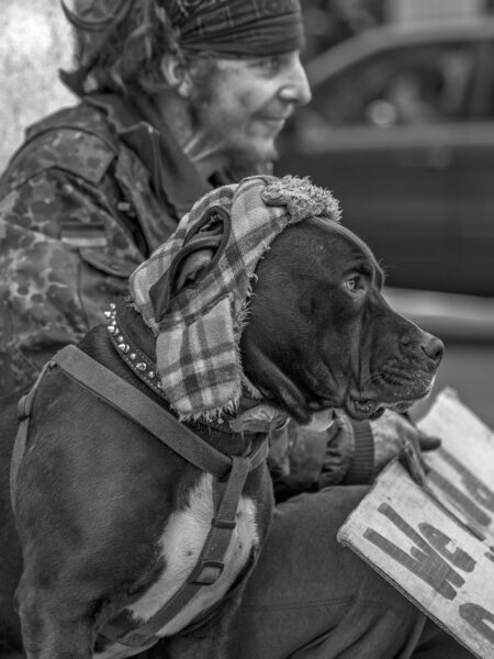 Homeless man wearing a bandana on his head with his dog wearing a wool hat next to him, sitting on a street corner with a sign, begging. 