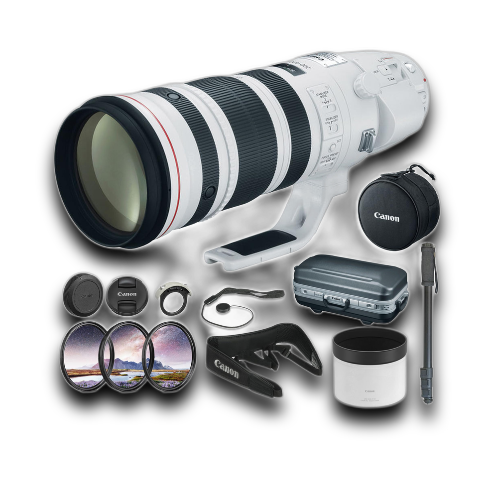 Canon EF200-400mm f/4L IS USM EXT